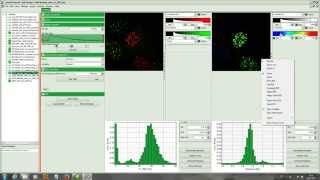 SymPhoTime Tutorial Calculate ratiometric FRETImages [upl. by Adelia]