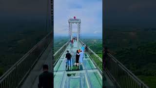 India’s Most Thrilling Glass Bridge Experience 🌟 rishikeshglassbridgeamazingfacts shortsfeed [upl. by Akimahs]