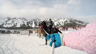 Skijoring – Towed Behind a Horse at 40 MPH – 100 GoPro [upl. by Smiley]