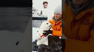 😱😍 seal animals sealions otter cute rescue squirrel trendingshort nkvlogs [upl. by Hgielar]