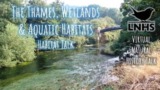 Habitat Talk The Thames Wetlands and Aquatic Habitats [upl. by Niroc]