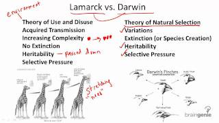 1221 Darwin v Lamarck [upl. by Annelg]