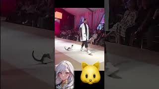 A kitten sneaked into the catwalk of a fashion show in Istanbul Definitely in her other life [upl. by Nivri]