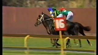 1985 Bendigo Cup Day Pt 2 [upl. by Thirza]