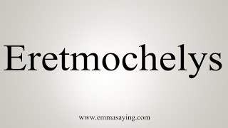 How To Say Eretmochelys [upl. by Olwena]