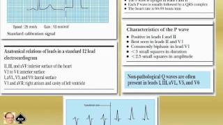 ECG tutorial Basic principles of ECG analysis Pediatric ECG 001 [upl. by Batruk]