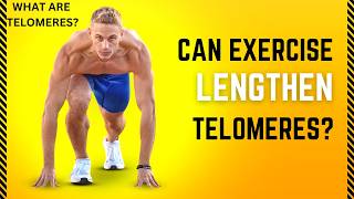 CAN EXERCISE LENGTHEN TELOMERES TELOMERES EXPLAINED [upl. by Suhcnip]