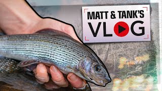 Catching Trout amp Grayling on a Stick Float  Matt and Tank VLOG 001 [upl. by Modesta15]