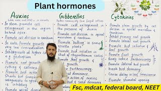 plant hormones  auxin gibberellin and cytokinin  class 12 [upl. by Sirromaj189]