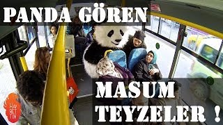 Panda gören masum teyzeler [upl. by Rafferty]