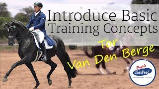 How to introduce basic training concepts to young Dressage horses with Tor Van Den Berge [upl. by Yetac532]