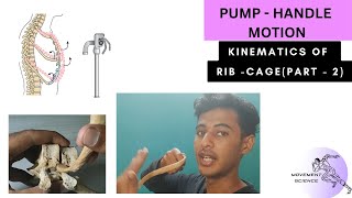 KINEMATICS OF RIB CAGE  PUMP HANDLE MOTION BIOMECHANICS OF THORAX Physiotherapy Tutorial [upl. by Allimaj]