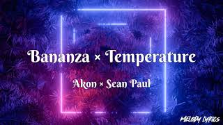 Akon × Sean Paul  Bananza Belly Dancer × Temperature 【Lyrics】 [upl. by Arada998]