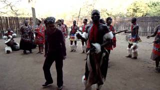 Dança Tribal 2 Reino da Suazilândia [upl. by Anniahs]