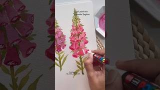 Let us paint some foxgloves using watercolors [upl. by Guss]