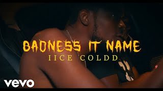 iice coldd  Badness it name Official Audio [upl. by Medarda]