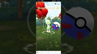 Ponyta community day shiny galar ponyta [upl. by Meirrak]