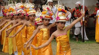 Tari Rejang Dewa saat Rahina Ngusaba Pura Puseh [upl. by Odranreb]