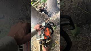 Fast cutting with chainsaw forest chainsaws echo [upl. by Dulsea]