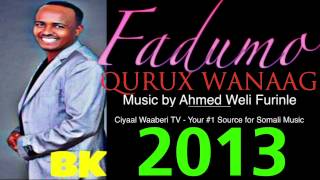 MAXAMED BK FADUMO QURUX WANAAG 2013 [upl. by Hazelton]