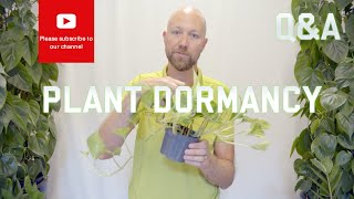 Plant Dormancy  why and how does it work [upl. by Leighton]