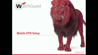 Watchguard mobile VPN [upl. by Hadeehuat677]