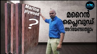 എന്താണ് മറൈൻപ്ലൈവുഡ് PlywoodMarine PlywoodQuality of marine plywoodBWP 710 plywood DrInterior [upl. by Ariom]