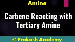 Carbene Reacting with Tertiary Amine I Carbene Reactions I Nitrene I Carbene Chemistry [upl. by Pablo]