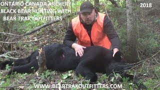 Another Bear Arrowed from the ground in Ontario Canada  Bear Trak Outfitters Rage [upl. by Santa842]