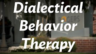 Rogers therapist gives an overview of Dialectical Behavior Therapy DBT [upl. by Ydieh131]