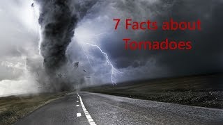 7 Facts about Tornadoes [upl. by Adlesirc433]