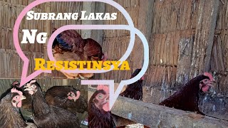 Subrang Lakas ng Resistinsya [upl. by Darius]