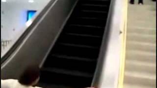 Wheelchair Vs Escalator  Keyboard Cat [upl. by Harmonie]