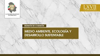 Reunión Comisión Medio Ambiente Ecología y Desarrollo Sustentable  25 marzo 2024 [upl. by Landry]