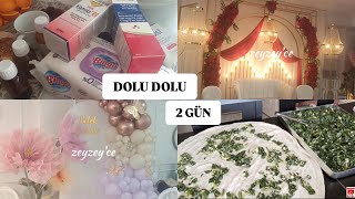 DOLU DOLU 2 GÜN  ISPANAKLI BÖREK TARİFİ  KEDİ DİLLİ PASTA TARİFİ  BEBEK MEVLÜDÜ  6 AY KINASI [upl. by Briant]