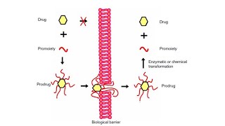 Prodrug41 [upl. by Emmaline620]