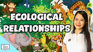 Ecological Relationships Predation Commensalism Mutualism Parasitism Competition  Biology [upl. by Neelsaj766]