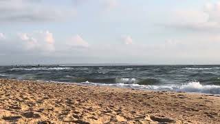 Beach and swimming at the Mordialloc Beach mordialloc beach swimming wave melbourne [upl. by Areikahs385]