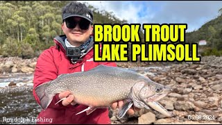 My First Ever Brook Trout  Lake Plimsoll  West Coast Tasmania [upl. by Joellen]