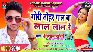 Gori Tori Gaal Ba Lal Lal Re  गोरी तोहर गाल बा लाल लाल रे Vishal Soni  New Bhojpuri Song 2019 [upl. by Camala]