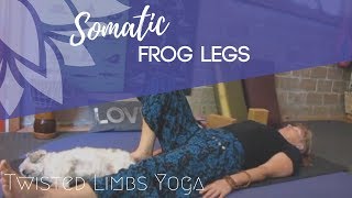 20 min frog legs Gentle Somatic Yoga [upl. by Nojid]