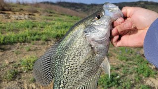 Lake Berryessa Spawn fishing from the shore 19000 steps [upl. by Anil]