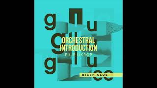 Bicep  Glue Orchestral Introduction by Filip Úkrop [upl. by Assila]