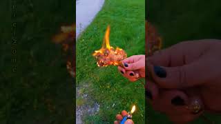 cottonwood fluff on fire🔥 facts knowledge trending [upl. by Eilssel]