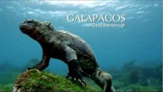 Galapagos Trailer 1 Origin [upl. by Friedberg]