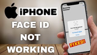 How to Fix Face ID Not Working on iPhone  Easy Solutions [upl. by Elleraj]