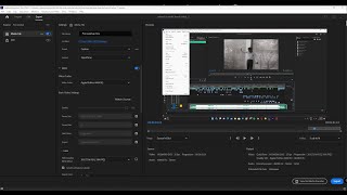 How to Export in Apple Prores HQ in Adobe Premiere Pro  Tutorial [upl. by Berta776]