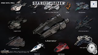 My Pirate Fleet  Star Citizen [upl. by Shaylynn]