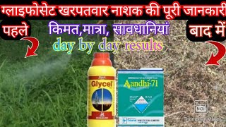 ग्लाइफोसेट खरपतवार नाशक की पूरी जानकारी प्रतिदिन के रिजल्ट के साथ  Glyfhosate uses in hindi [upl. by Galasyn]