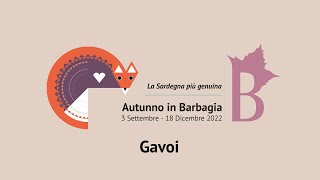 Gavoi  Autunno in Barbagia 2022 [upl. by Broder]